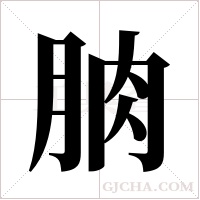 朒的笔顺